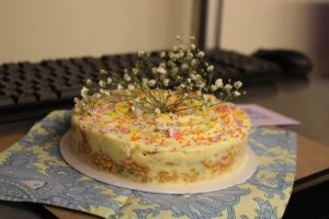 11696368_841213815947123_8771166713300636806_o